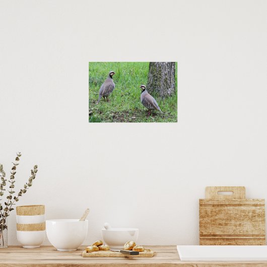 Partridges Poster (Keuken)