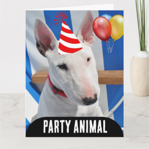 PARTY ANIMAL DOG FUNNY BIRTHDAY KAART
