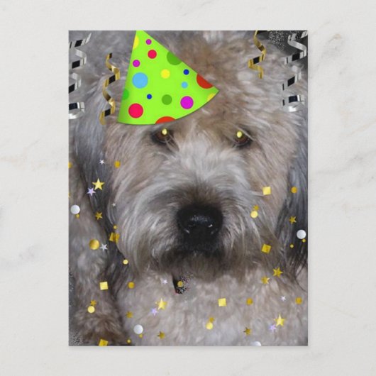 Party Animal Wheaton Terrier Briefkaart (Voorkant)