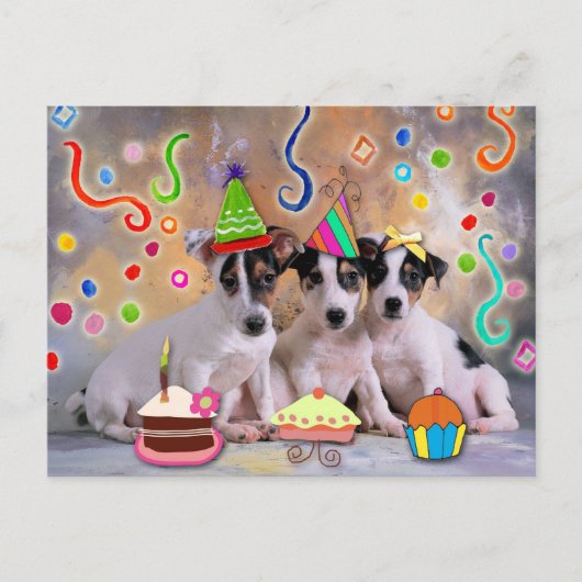 Party animals, dogs celebrating briefkaart (Voorkant)