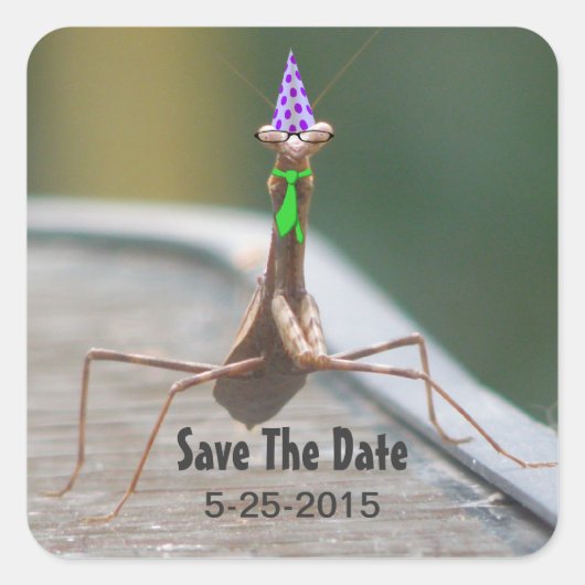 Party Bug Sticker (Voorkant)