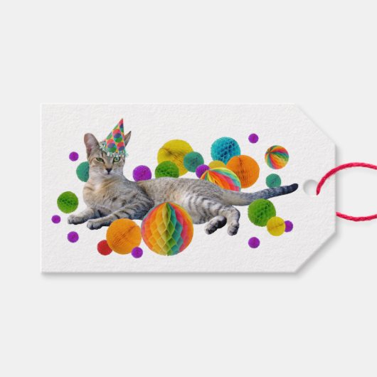 Party Cat Gift Labels Cadeaulabel (Voorkant (Horizontaal))