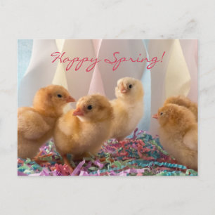 Party Chicks Yellow Baby Chickens Streamers Uitnodiging Briefkaart