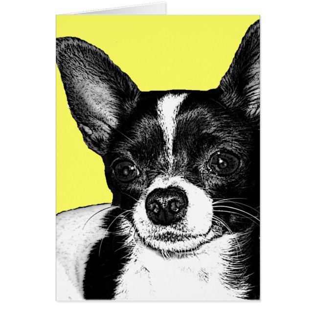 Party Chihuahua (Voorkant)