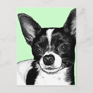 Party Chihuahua Briefkaart