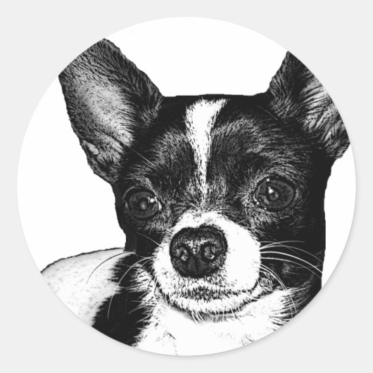 Party Chihuahua Ronde Sticker (Voorkant)