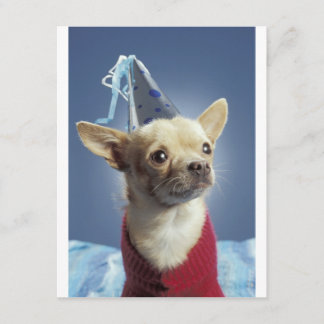 Party Dog Birthday Invitation Kaart