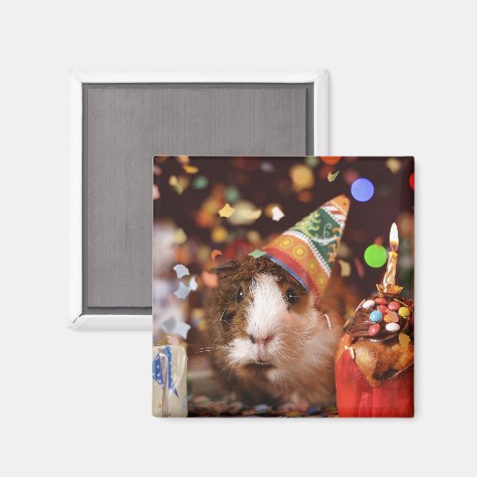 Party Guinea Pig Magneet (Voorkant / Achterkant)