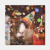 Party Guinea Pig Magneet (Voorkant)