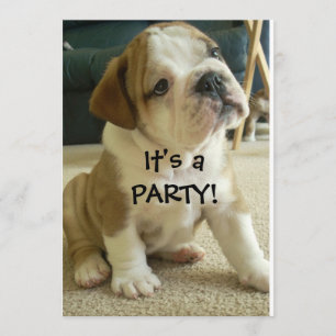 Party Invitations English Bulldog Puppy Kaart
