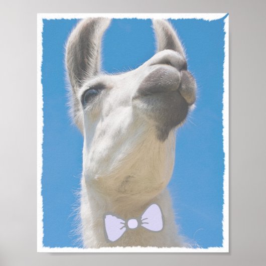 Party Llama met een boog Stropdas Poster (Voorkant)