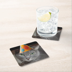 Party Pet Grey Cat Vierkante Kartonnen Onderzetter