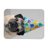 Party Pug Magneet (Horizontaal)