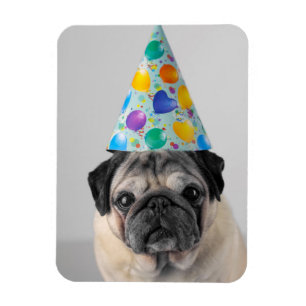 Party Pug Magneet