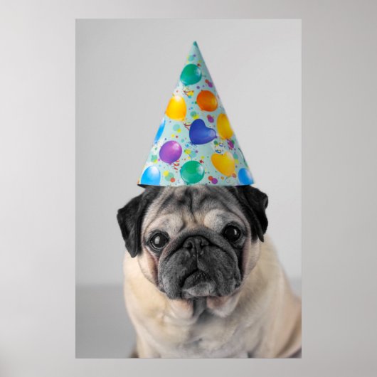 Party Pug Poster (Voorkant)