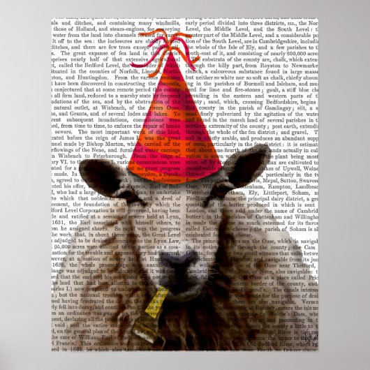 Party Sheep Poster (Voorkant)