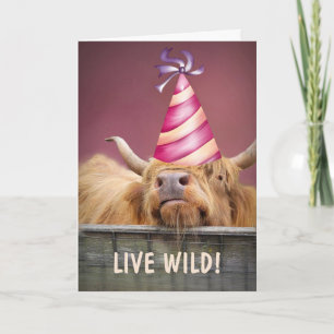 Party Steer Live Wild Verjaardag Kaart