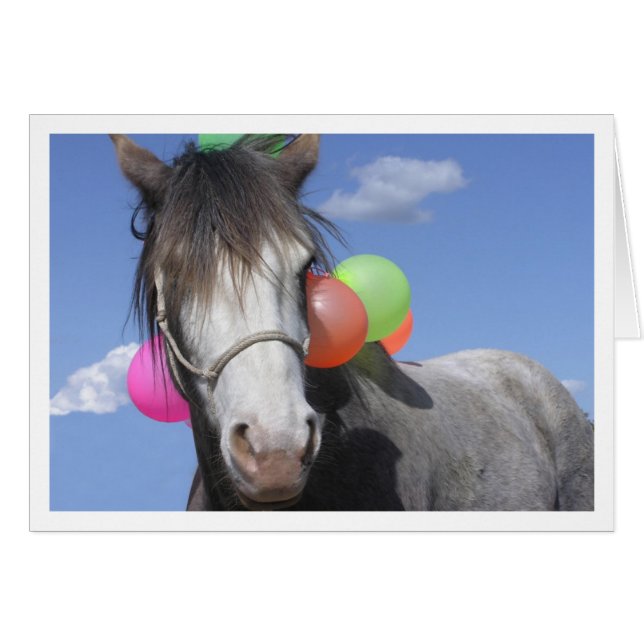 PartyAnimal (Voorkant Horizontaal)