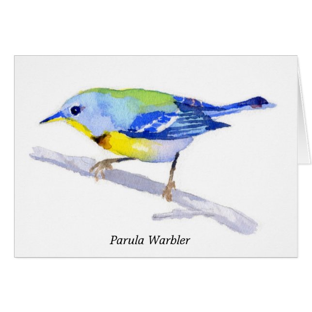 Parula Warbler (Voorkant Horizontaal)