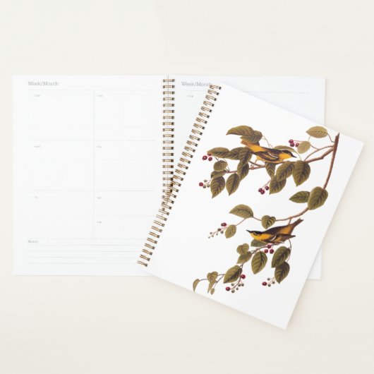 Paruline carbonée Audubon Oiseau (Devant avec enveloppe)