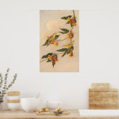 Paruline jaune - Joseph B. Kidd Poster d'art (Cuisine)