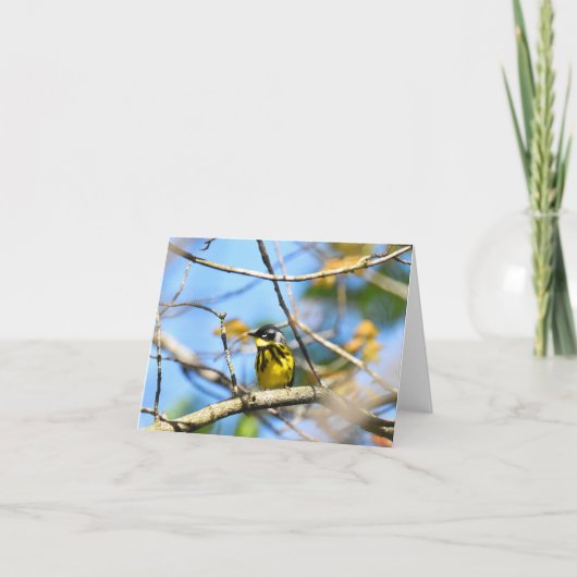 Paruline Magnolia - Carte de note blanche (Devant)