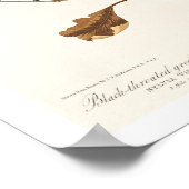 Paruline par Audubon Poster (Coin)