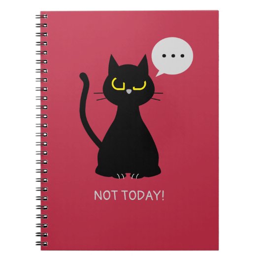PAS AUJOURD'HUI ! Carnet de chat noir grumeux (Devant)