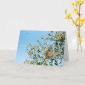 Pas de carte de médecin (Fleur jaune)