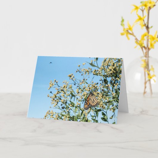 Pas de carte de médecin (Fleur jaune)