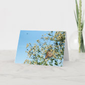 Pas de carte de médecin (Devant)