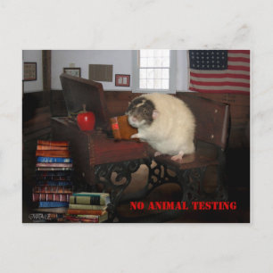 Pas de carte postale de test animal