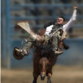 " PAS DE DOULEUR - PAS DE GAIN " ! Toile tendue