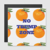 PAS DE MAGNET DE ZONE TRUMP (Devant / Derrière)