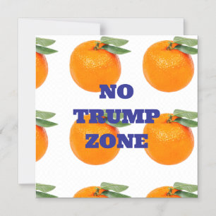 PAS DE MAGNET DE ZONE TRUMP