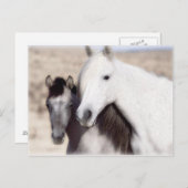 Pas de Uitnodigingen en de Kaarten van de Partij (Voorkant / Achterkant)