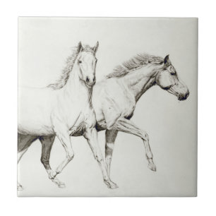 Pas een Paard aan Tegeltje