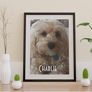 Pas je familiehond aan perfect poster