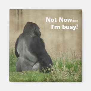 Pas maintenant… je suis occupé ! Aimant