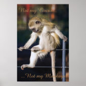 Pas mon cirque, pas mon affiche de singes (Devant)