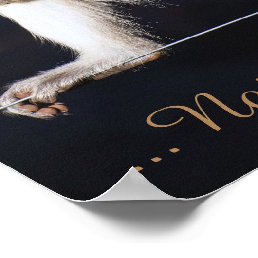 Pas mon cirque, pas mon affiche de singes (Coin)