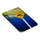 Pas op alligators voeden niet magneet (Rechterzijde)