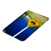 Pas op alligators voeden niet magneet (Linkerzijde)