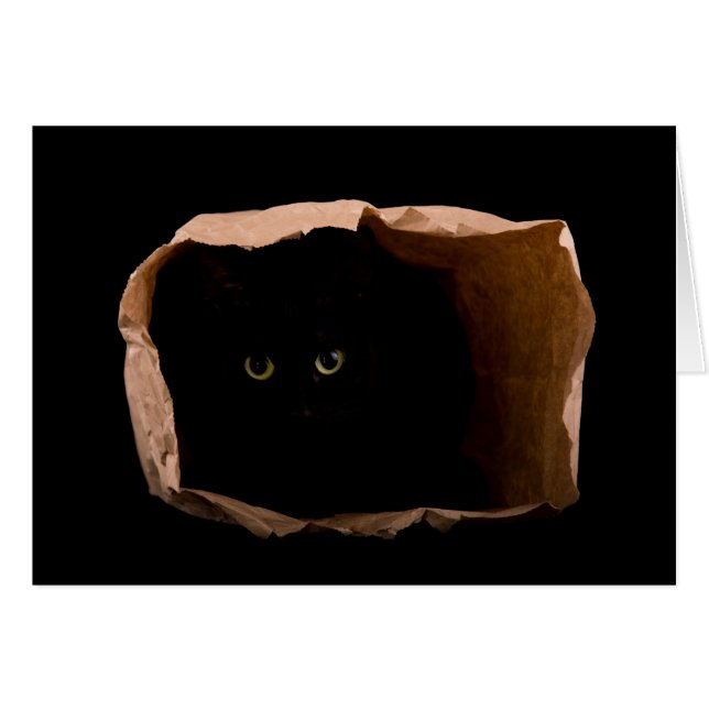 Pas op voor de aanvalskat! (Voorkant Horizontaal)