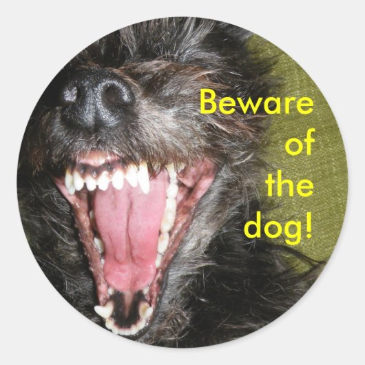 Pas op voor de hond ronde sticker (Voorkant)