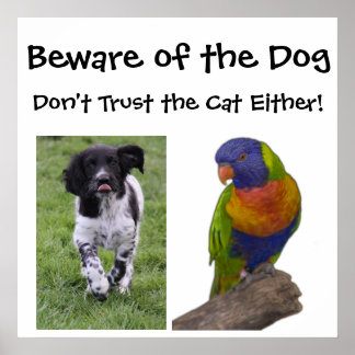 Pas op voor de hond. Vertrouw de kat ook niet! Poster