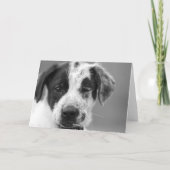 Pas op voor katers kaart (Achterkant)