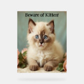 Pas op voor kitten Schattige Ragdoll Kat Guardian  Acryl Bord (Voorkant)