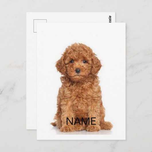 Pas personaliseren aan met foto's en namen briefkaart (Voorkant / Achterkant)