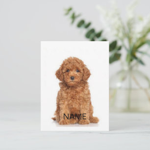 Pas personaliseren aan met foto's en namen briefkaart
